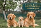 5 Golden Retriever Behavior Mistakes Owners Repeat