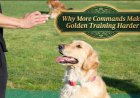 Why More Commands Make Golden Training Harder