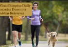 What Skipping Daily Exercise Does to a Golden Retriever