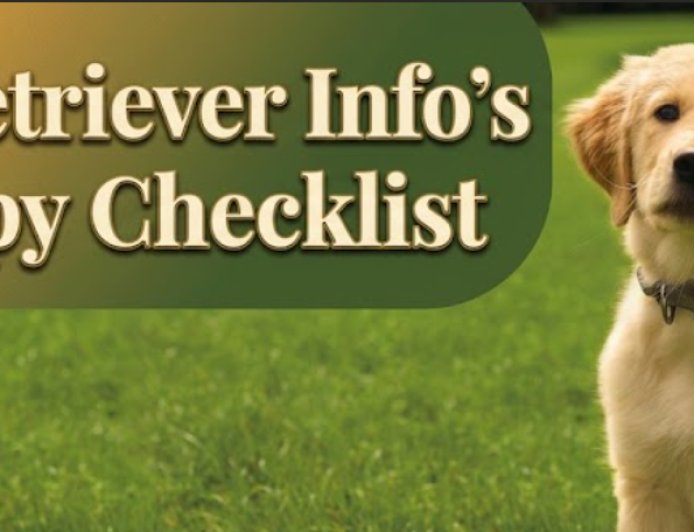 Golden Retriever Info's New Puppy Checklist