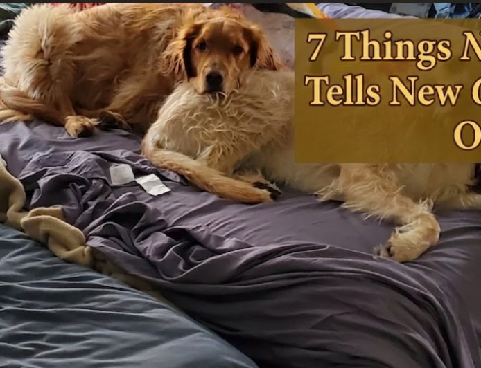 7 Things Nobody Tells New Golden Owners